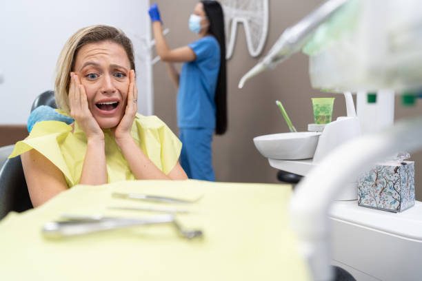 Best Emergency Dental Care for Broken or Chipped Teeth in Brighton, TN